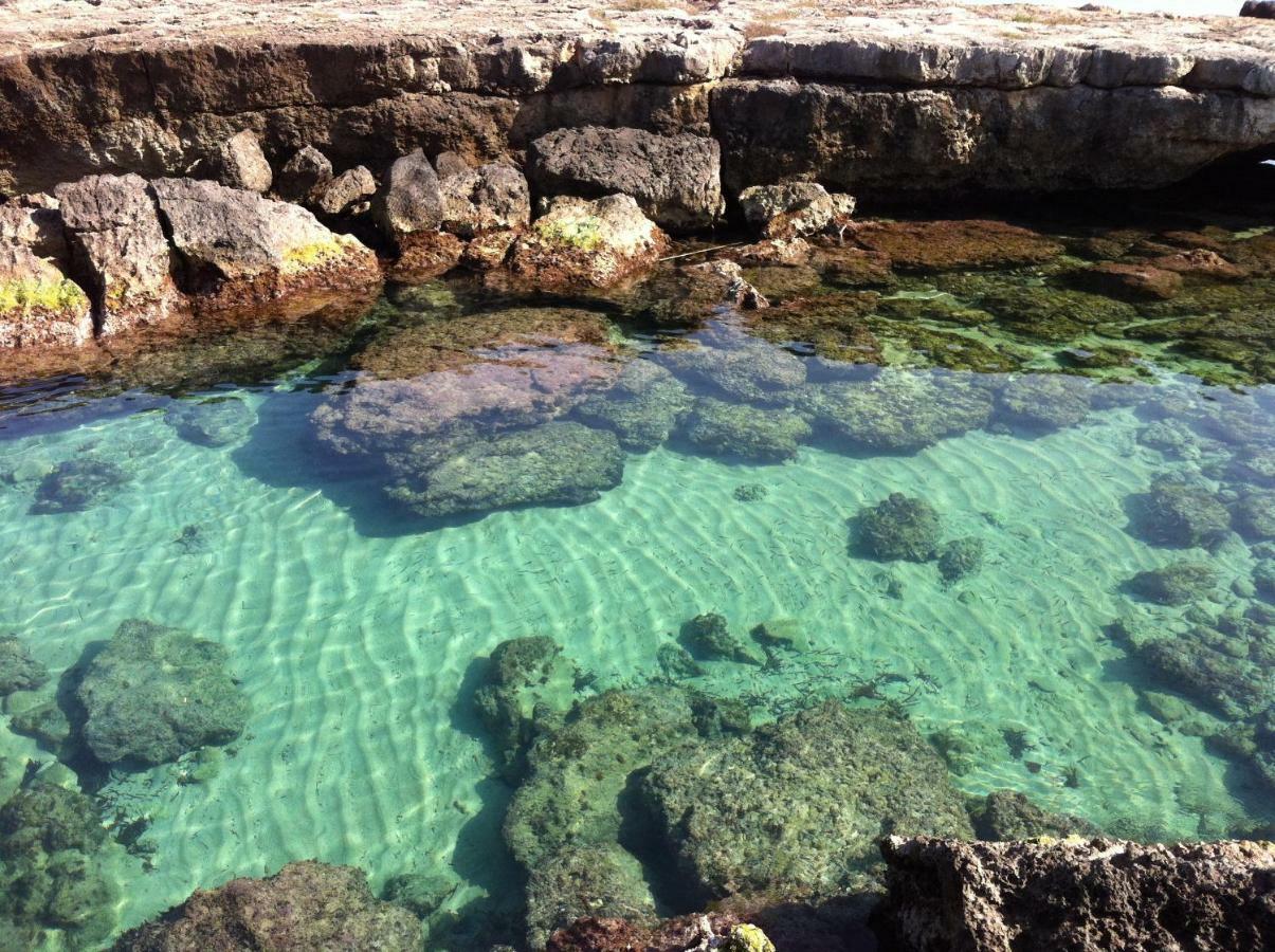La Baita Sul Mare Διαμέρισμα Monopoli Εξωτερικό φωτογραφία
